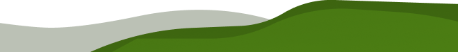 some nature bg